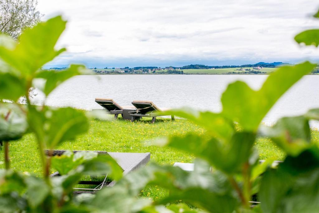 Hotel Seebrunn Am Wallersee Henndorf am Wallersee Kültér fotó